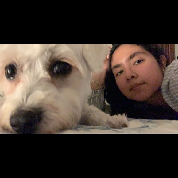 Meet your Posher, Julissa - Picture 1 of 1